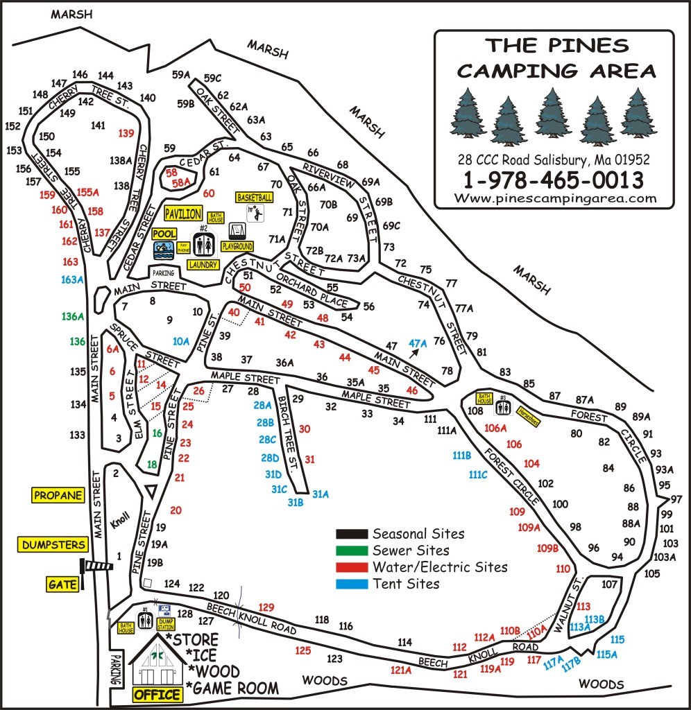 Home - Pines Camping Area